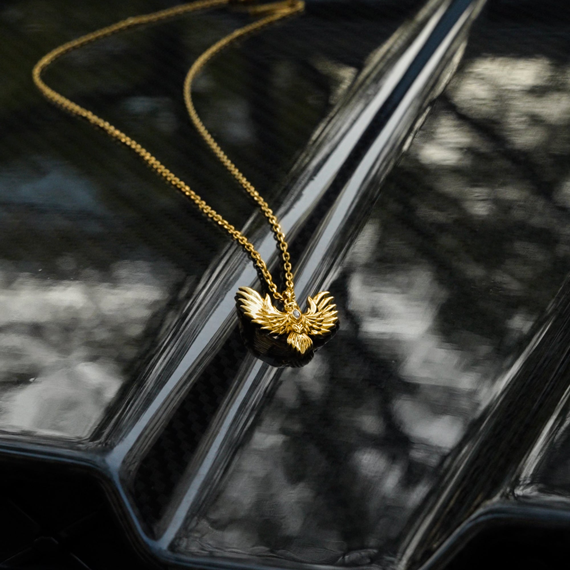 The RAWNESS Eagle Necklace RAWNESS